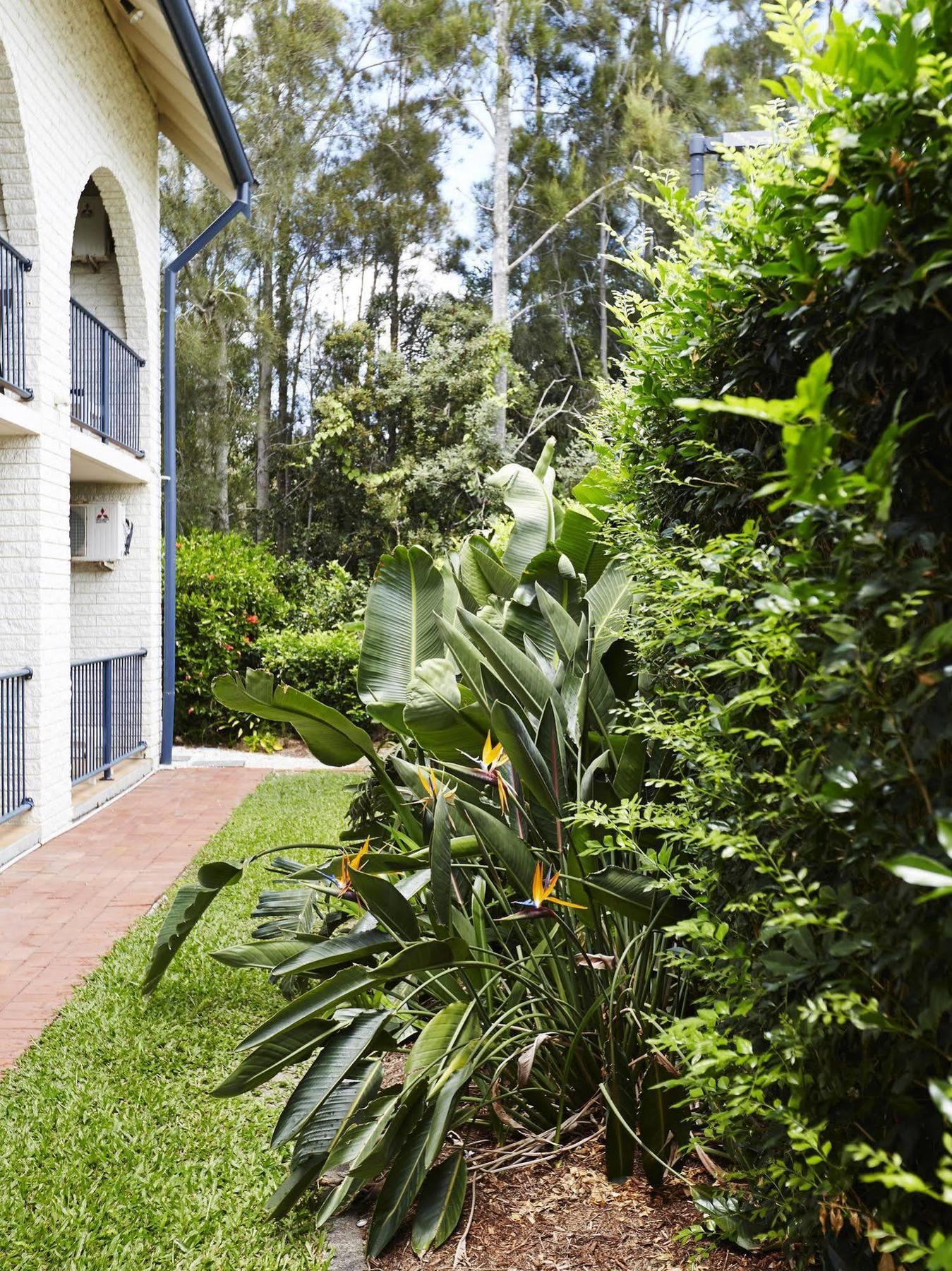 Bay Beach Motel Byron Bay Exterior foto